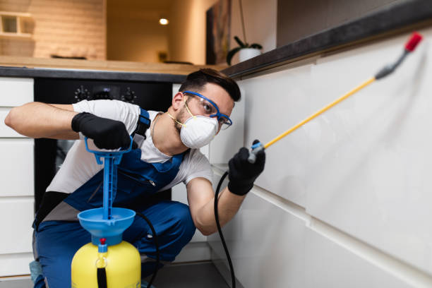  Bella Vista, CA Pest Control Pros