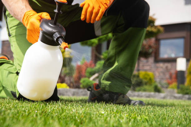 Best Rodent Control Near Me  in Bella Vista, CA