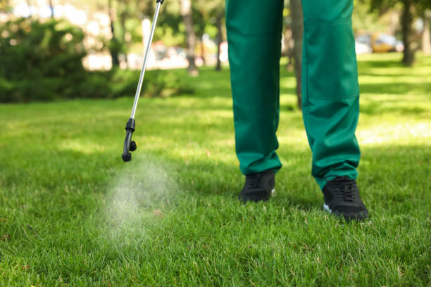 Best Pest Removal Services  in Bella Vista, CA