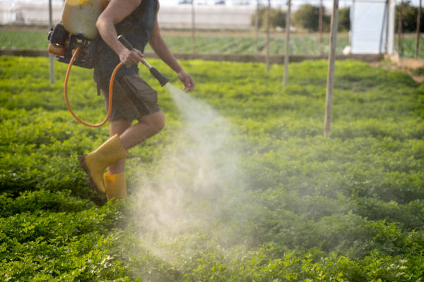Best Best Pest Control Companies  in Bella Vista, CA