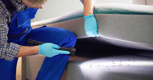 Best Pest Control Near Me in Bella Vista, CA