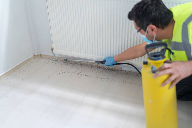Best Mosquito Control Services  in Bella Vista, CA